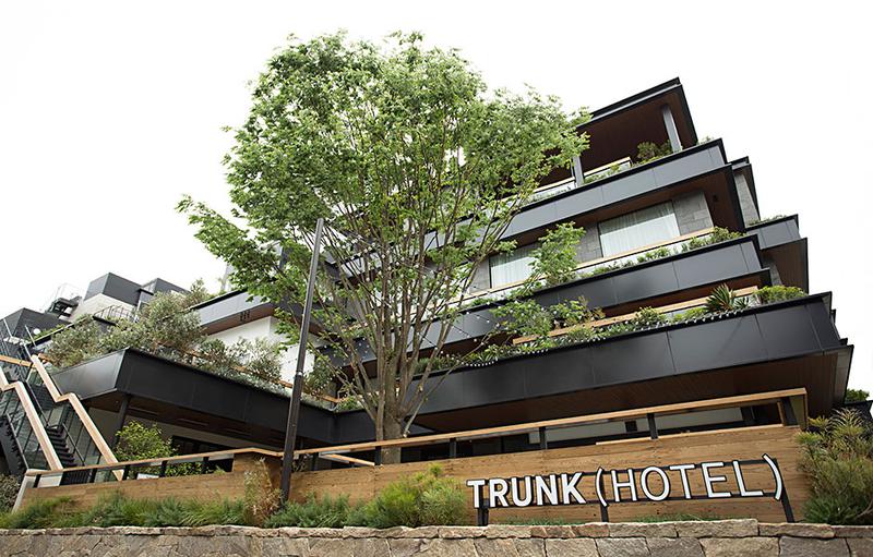 TRUNK(HOTEL)