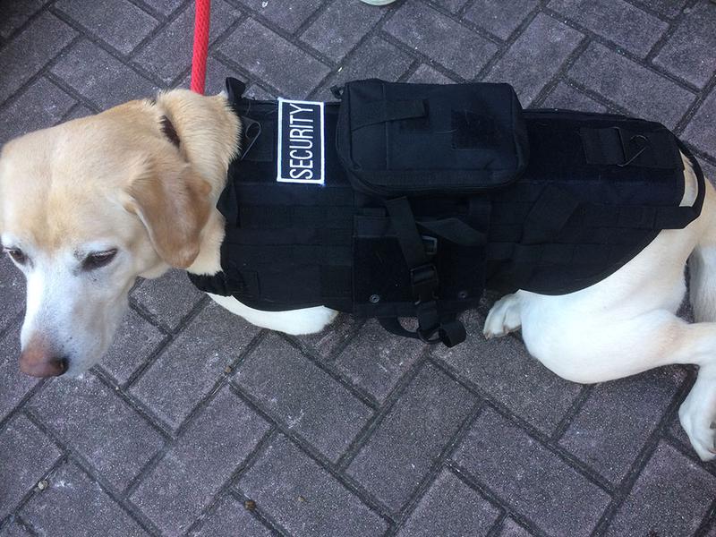 A.「今回の特集でも紹介している湘南の『DOGGY BRO』は行きつけのショップ。このワンコ用ベストは、バリスティックナイロン製のタフな雰囲気が最高。別売りのバッグやワッペンもあって、ベルクロテープで着脱可能なところも楽しいです。あまりワンコに服を着せたりするのは好みじゃないんですが、これは別!」