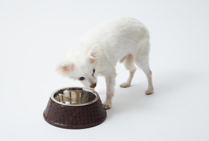 ドッグボウル(H.8×D.21.5 cm) 7万5000円/ボッテガ・ヴェネタ(ボッテガ・ヴェネタ ジャパン)