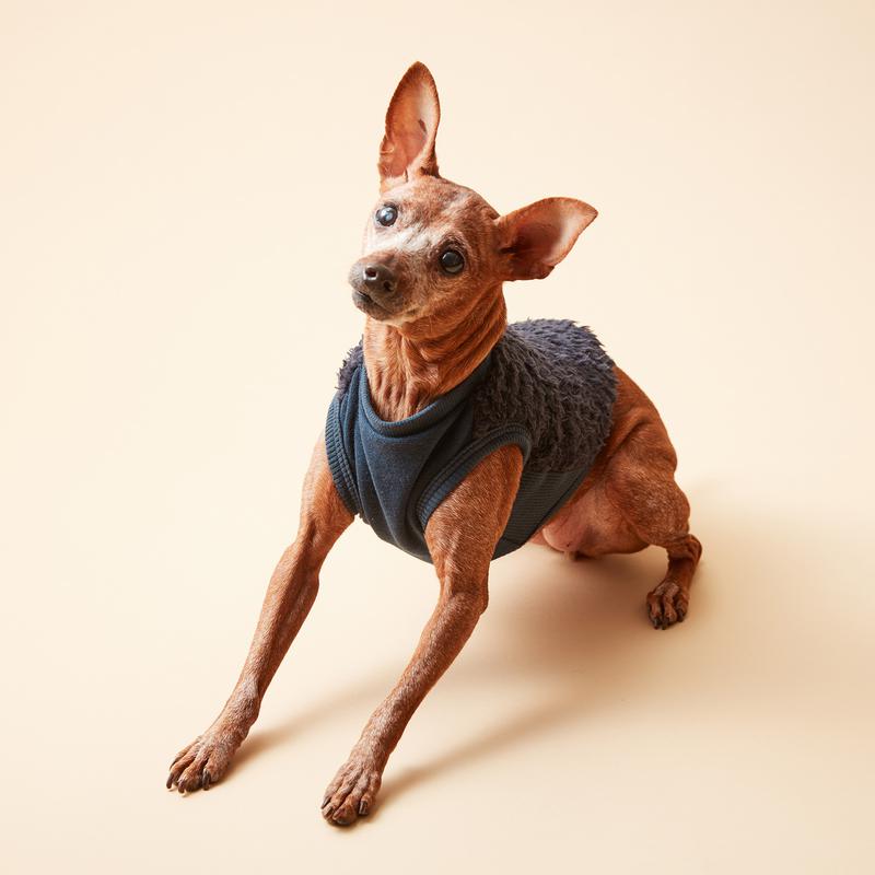 free stitch ボアフリースタンク/ネイビー、M・L 4000円(税別)