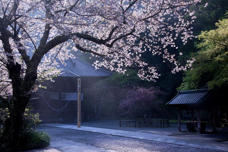 妙本寺