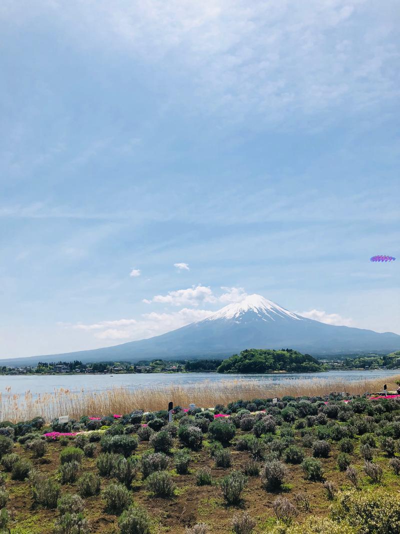 富士山