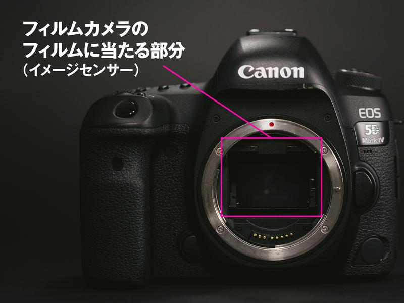 センサーサイズによって写真の画質は大きく左右されます。